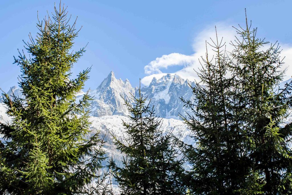 Chalet La Source - Chamonix All Year Zewnętrze zdjęcie